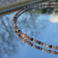 Shade of Brown Necklace